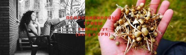 бошки Семикаракорск